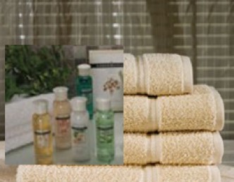 bathroom setting with towels, shampoo, and body wash