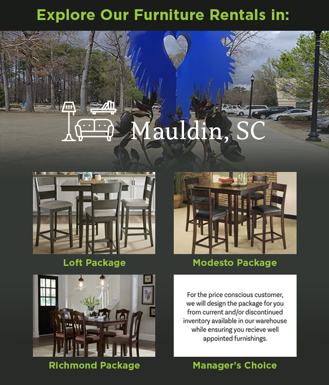 Mauldin, SC furniture